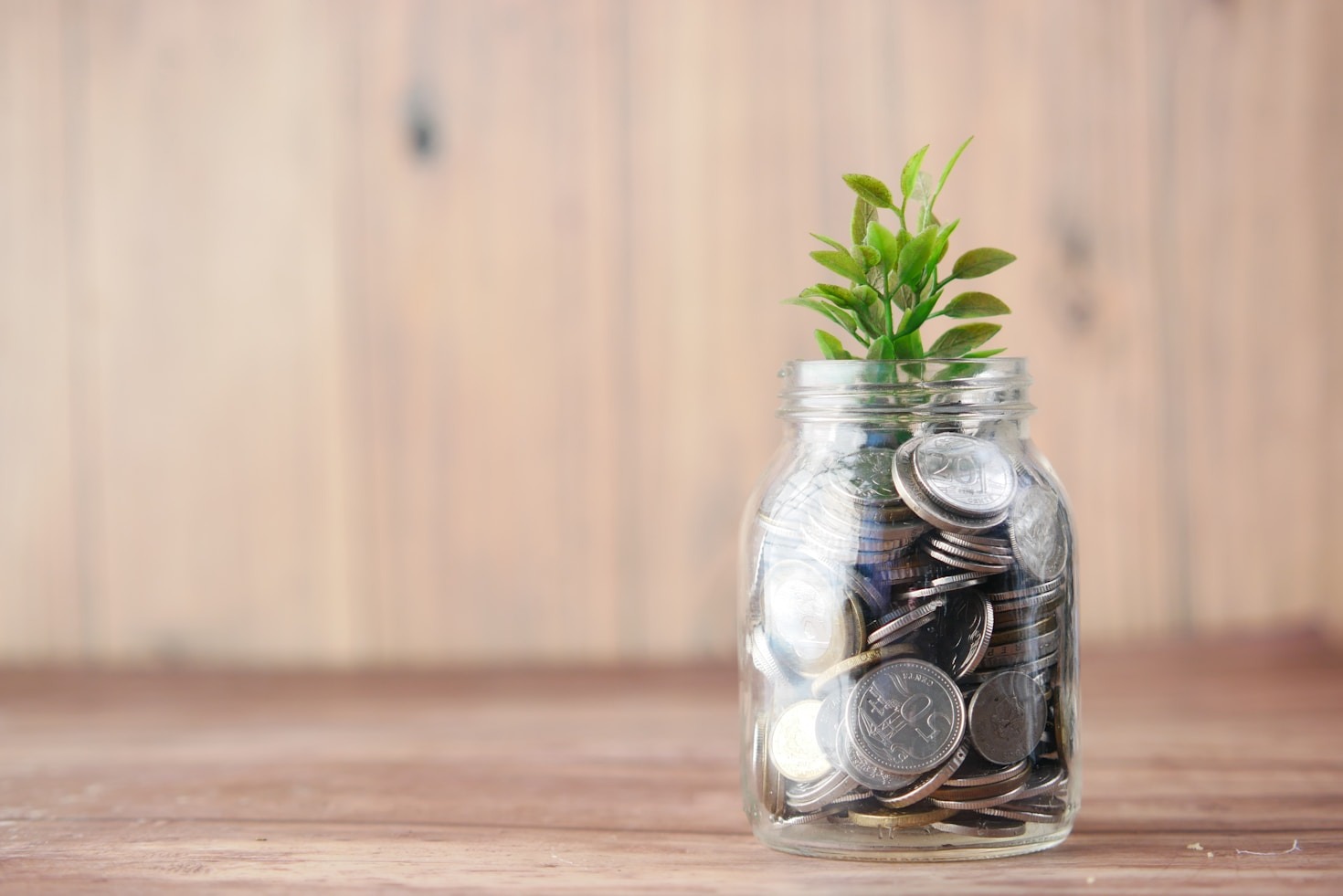 Invista em Você: Educação Financeira Transformadora